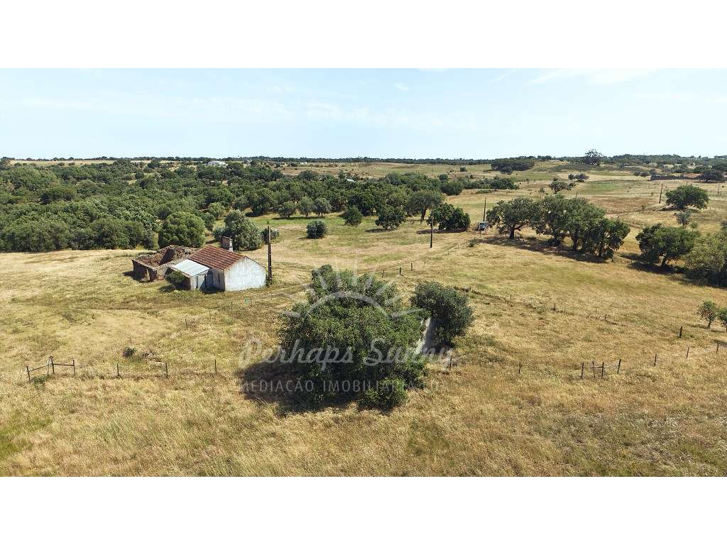 Terreno Misto - São Francisco da Serra - Melides-8