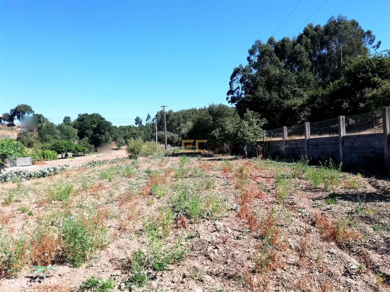 Terreno na Zona de Vila Verde