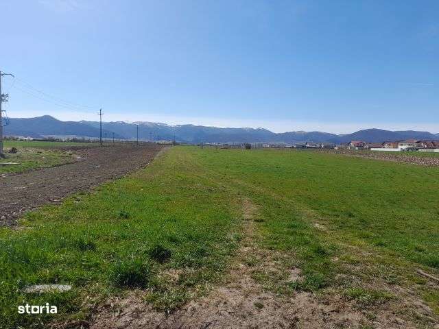 Imobiliare Maxim -teren cu autorizatie de construire-6
