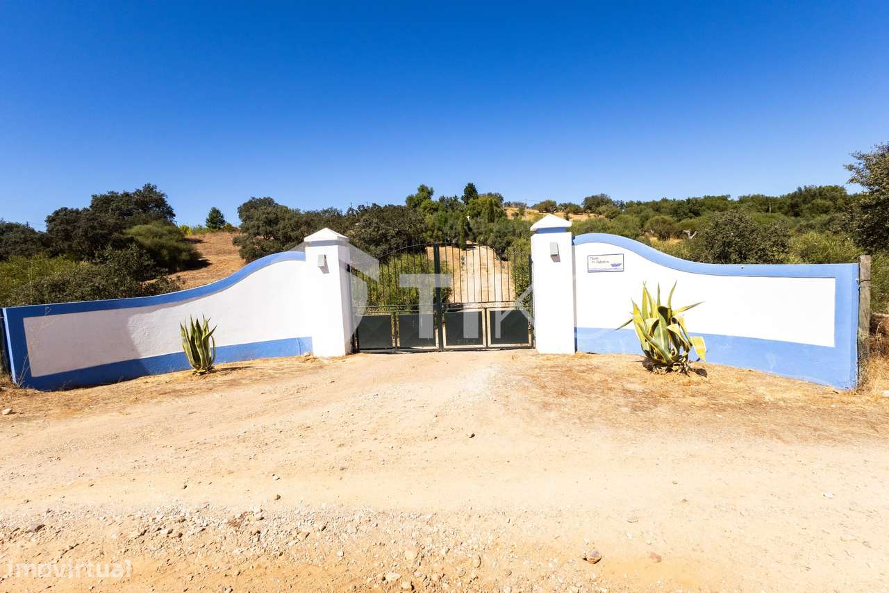 QUINTA DOS OUTEIROS  COM PISCINA E DUAS CASAS  COM  ÁREA TOTAL DE 9.50 - Grande imagem: 3/59