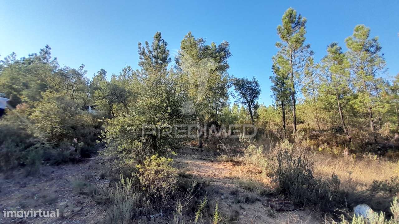 Terreno 3,92 ha Sarzedas - Grande imagem: 4/29