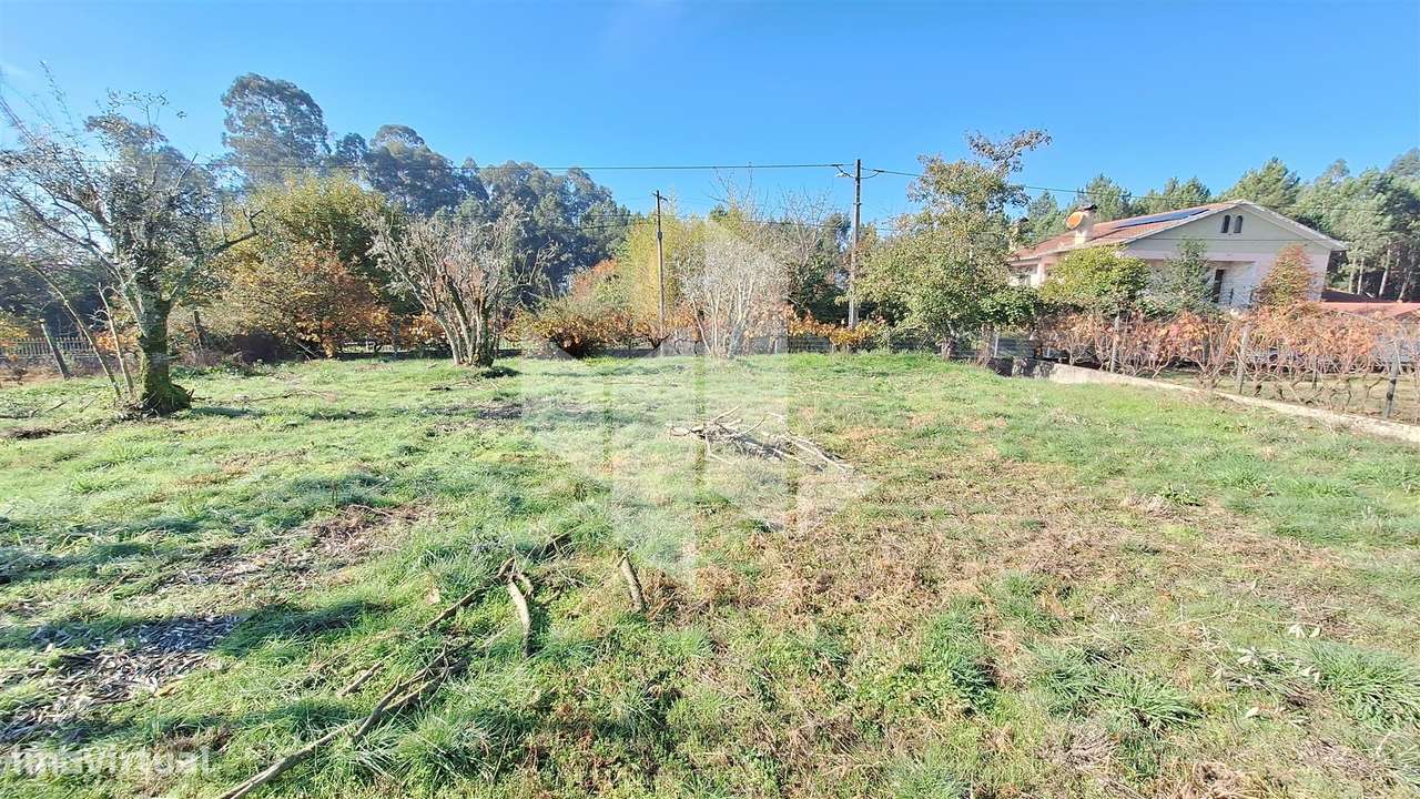 Moradia Devoluta T1 Venda em Molelos,Tondela-5