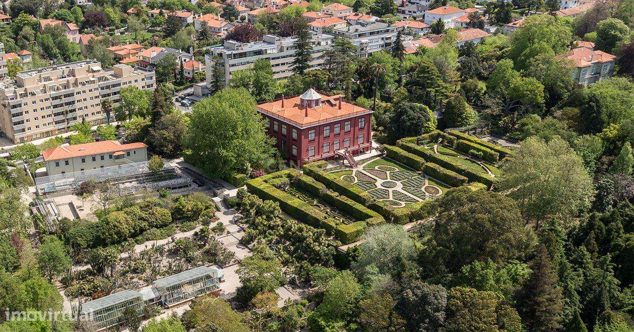 Casa Nova com Vista para o Rio no Porto - Grande imagem: 4/4