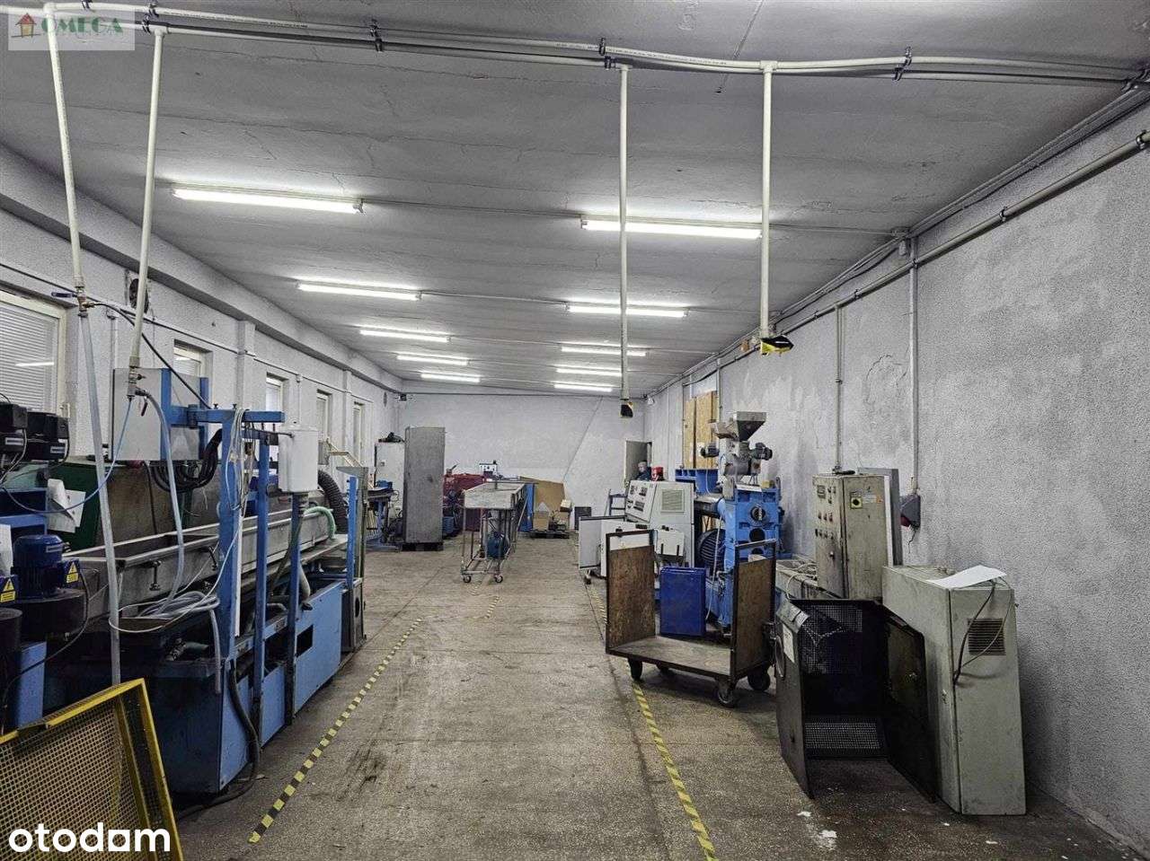 Hala/Magazyn, 324,50 m², Dąbrowa Górnicza - Pełny obrazek: 4/9