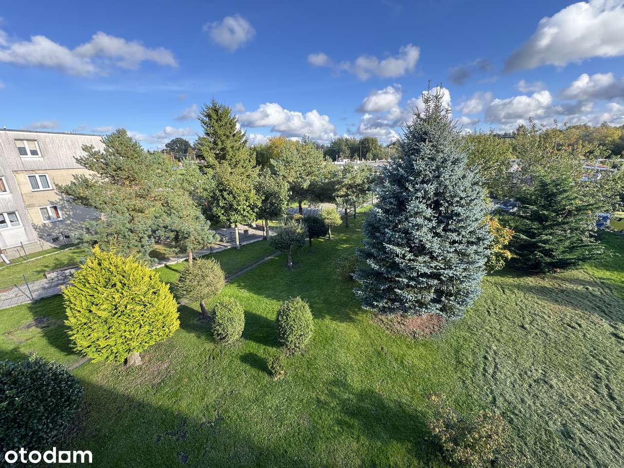 MIESZANIE 2 POKOJOWE W DRZONOWIE-2