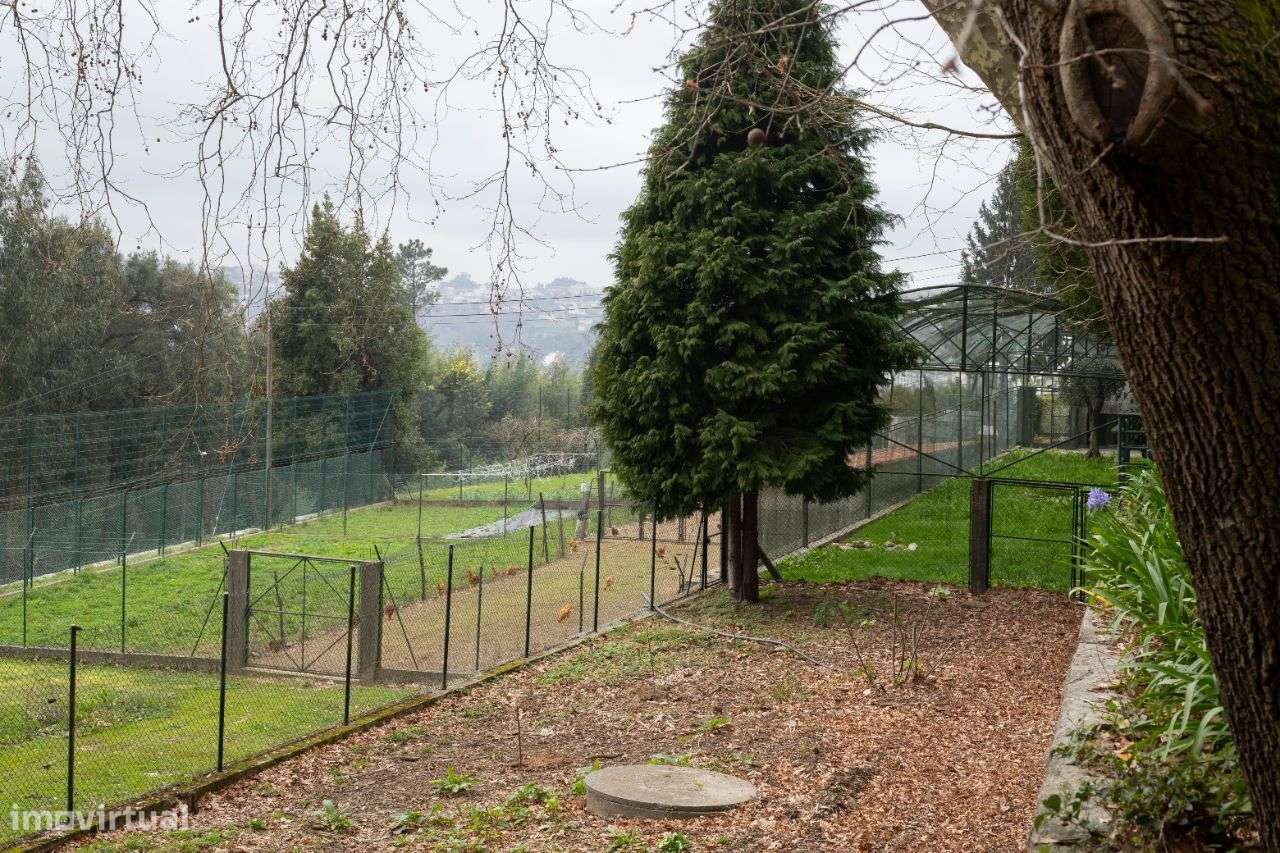 Quinta para venda em Oliveira de Azeméis-50