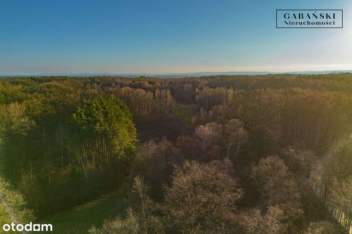 Działka budowlana na sprzedaż - Zaczarnie-5