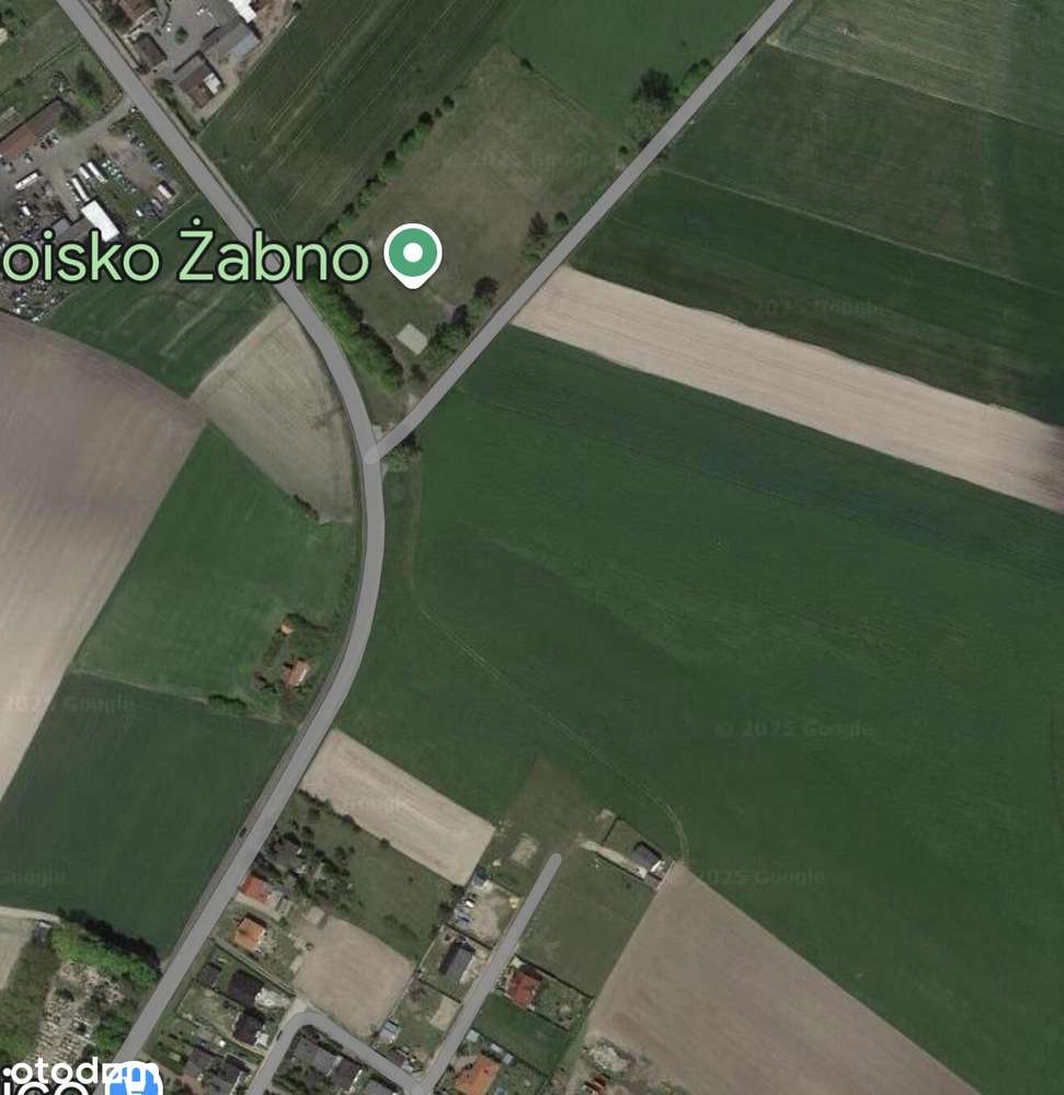 Działka w Żabnie gm Brodnica-8