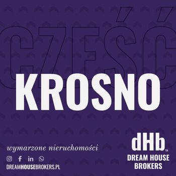 Dream House Brokers Krosno Logo