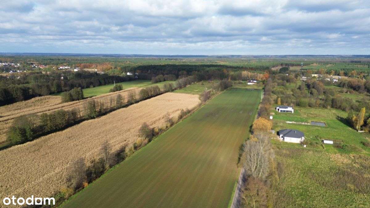 3195m2*3058m2*12minut do Torunia-10