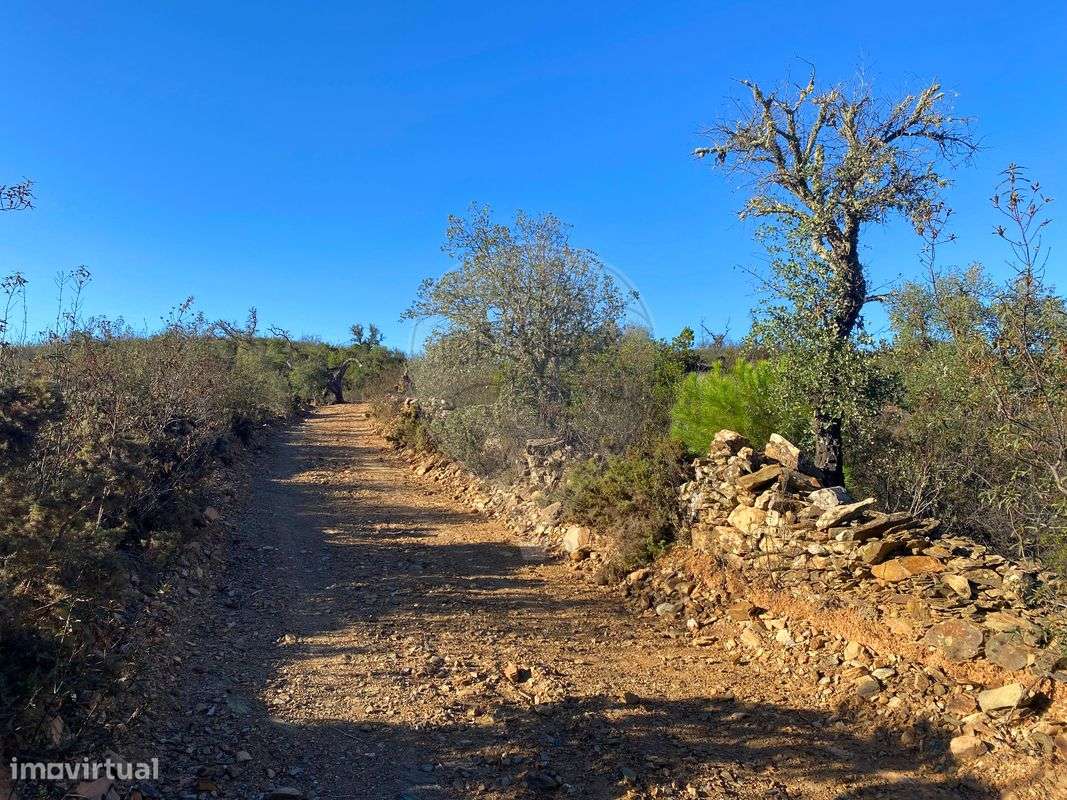 Terreno  para venda - Grande imagem: 2/12