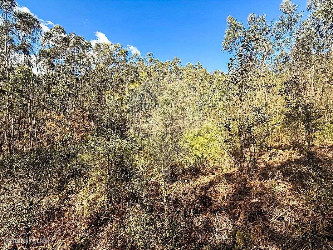 Terreno  para venda - Grande imagem: 5/17