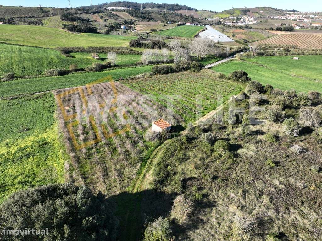Terreno agrícola de 12040m2 com poço e casa de apoio para a ativida... - Grande imagem: 4/18