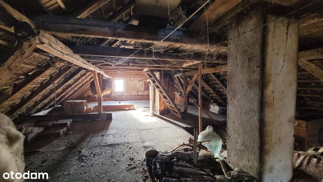 Pół domu + działka + kamienna stodoła + 2garaże w Dziwiszowie-18