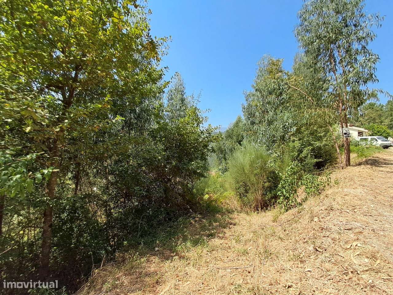 Terreno em Aboadela com capacidade construtiva - Grande imagem: 4/15