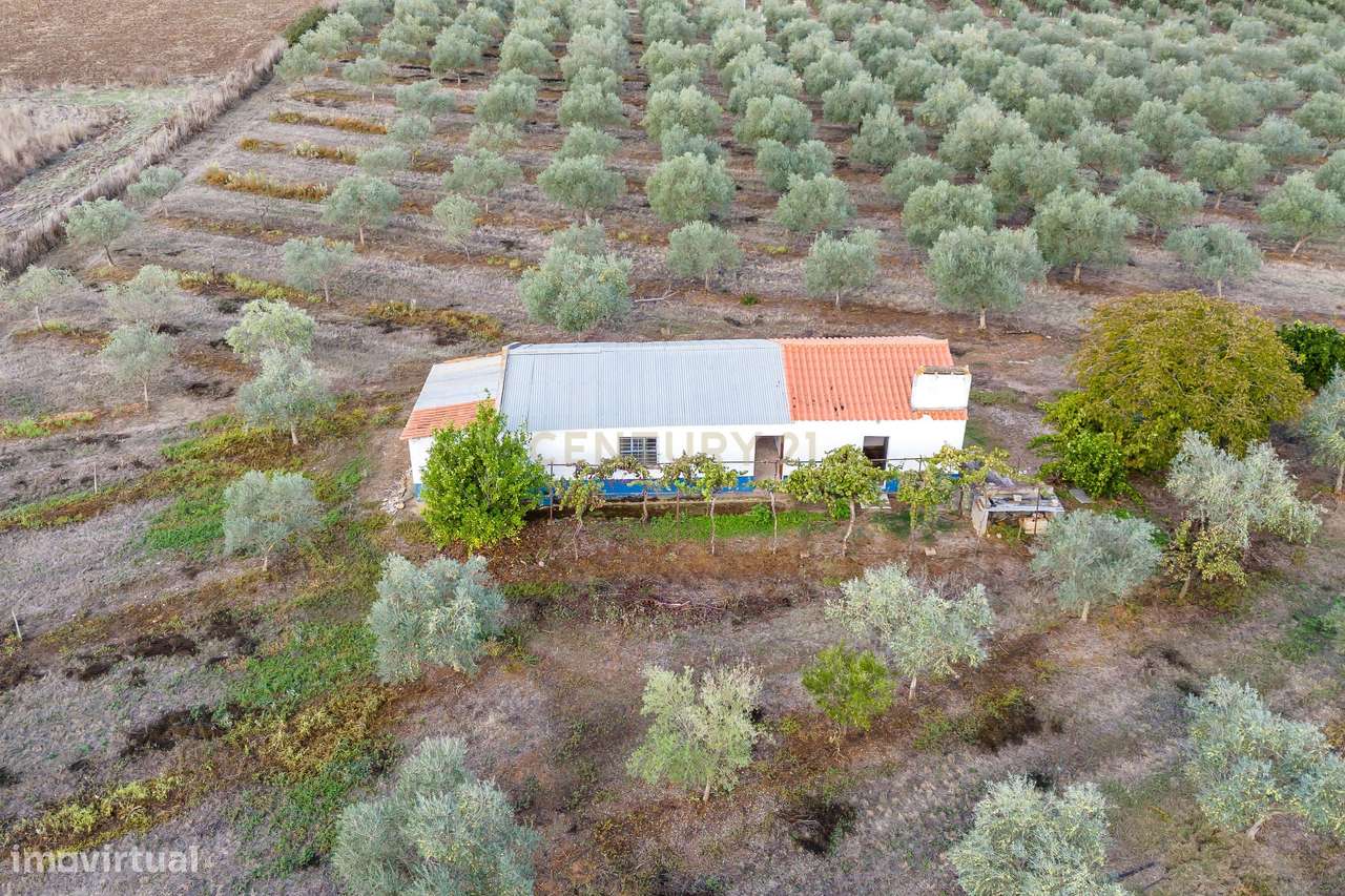 Encantadora Casa Branca em Sousel - 2 Quartos e 1 Casa de Banho - Grande imagem: 5/60