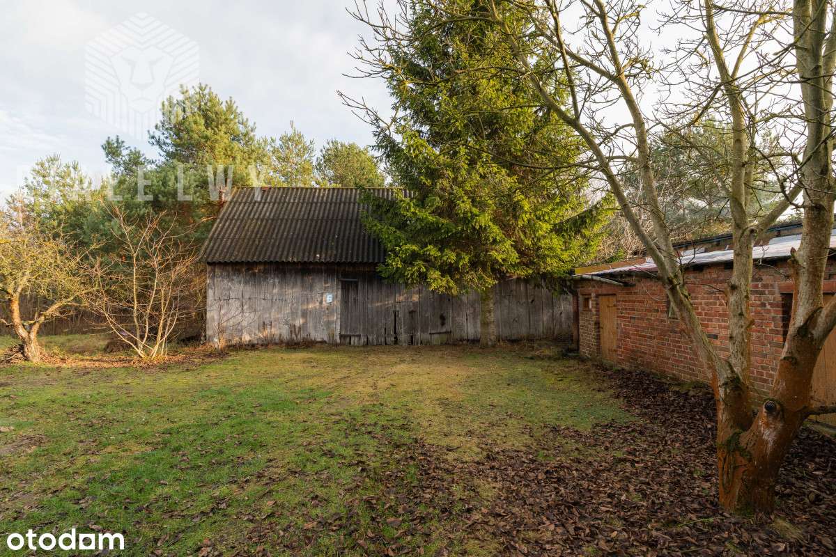 Dom, stodoła, duża działka Ustanów - Pełny obrazek: 4/20