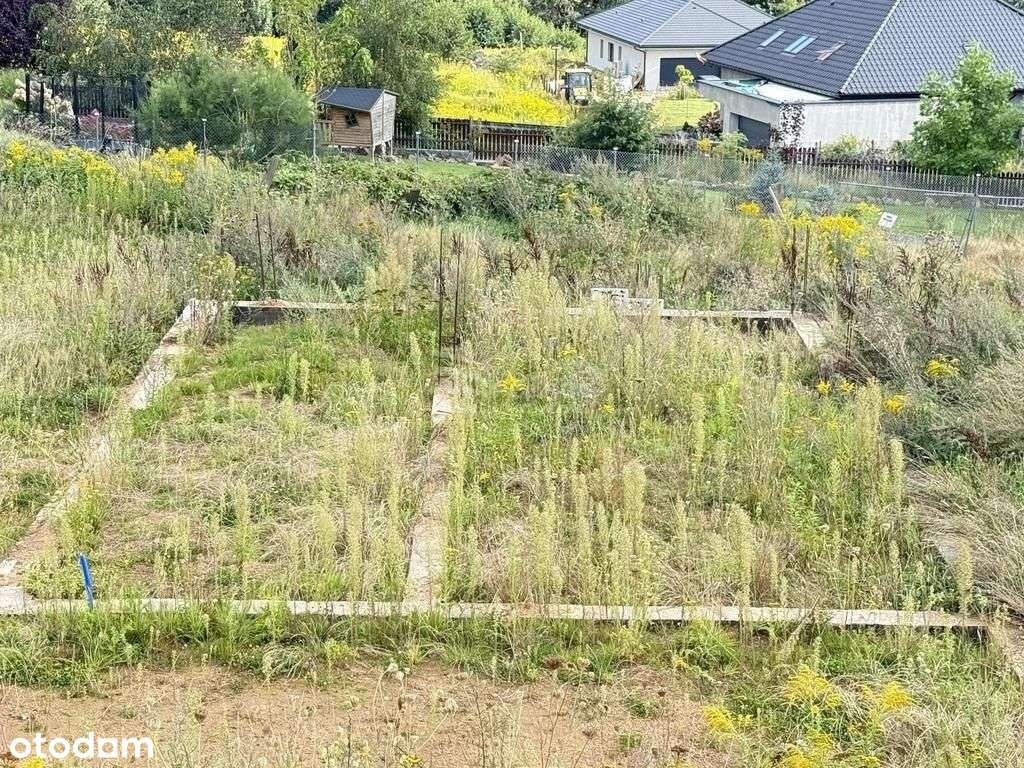 Malownicza działka w Jeżowie Sudeckim - uzbrojona! - Pełny obrazek: 5/15