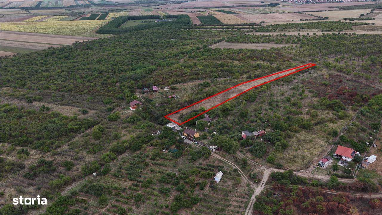 RECO Teren Episcopia - Imagine principală: 4/6