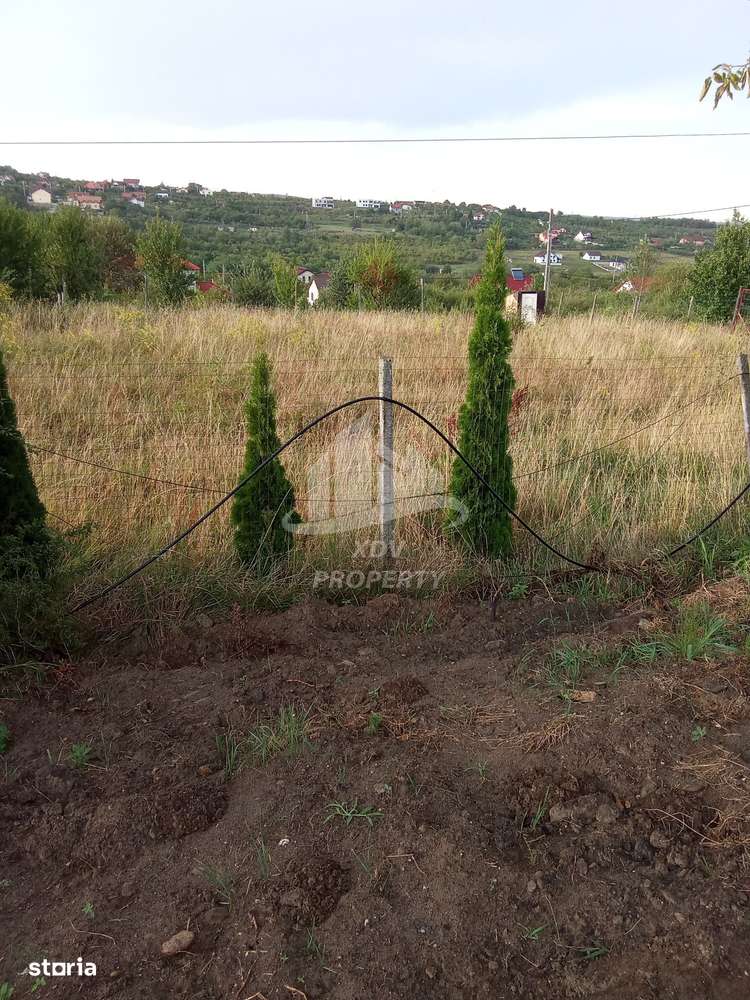 Teren intravilan  ,1020 mp, Sibiu, Daia Noua-9