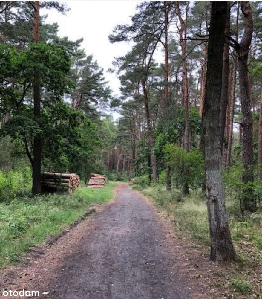 Działka budowlana nad morzem  z warunkami zabudowy . - Pełny obrazek: 4/7