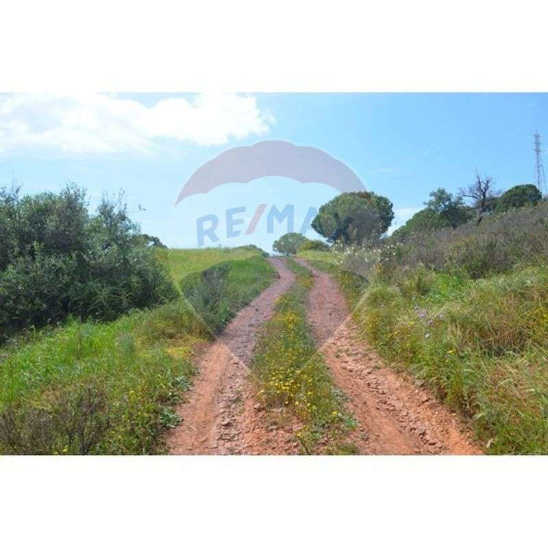 Terreno  para venda - Grande imagem: 2/3