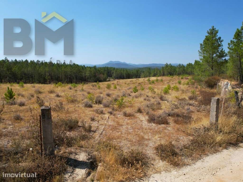 Oportunidade de Investimento - 2 Terrenos Rústicos - Grande imagem: 5/12