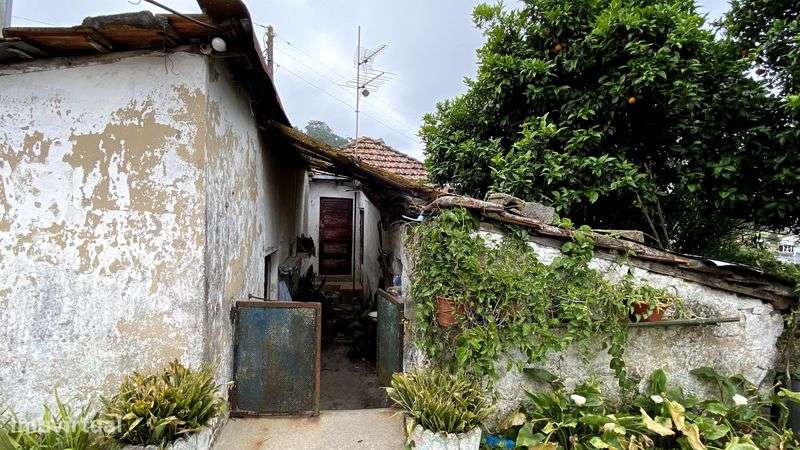 Conjunto de 2 moradias mais terreno em zona construção Cabeça Santa - Grande imagem: 5/12