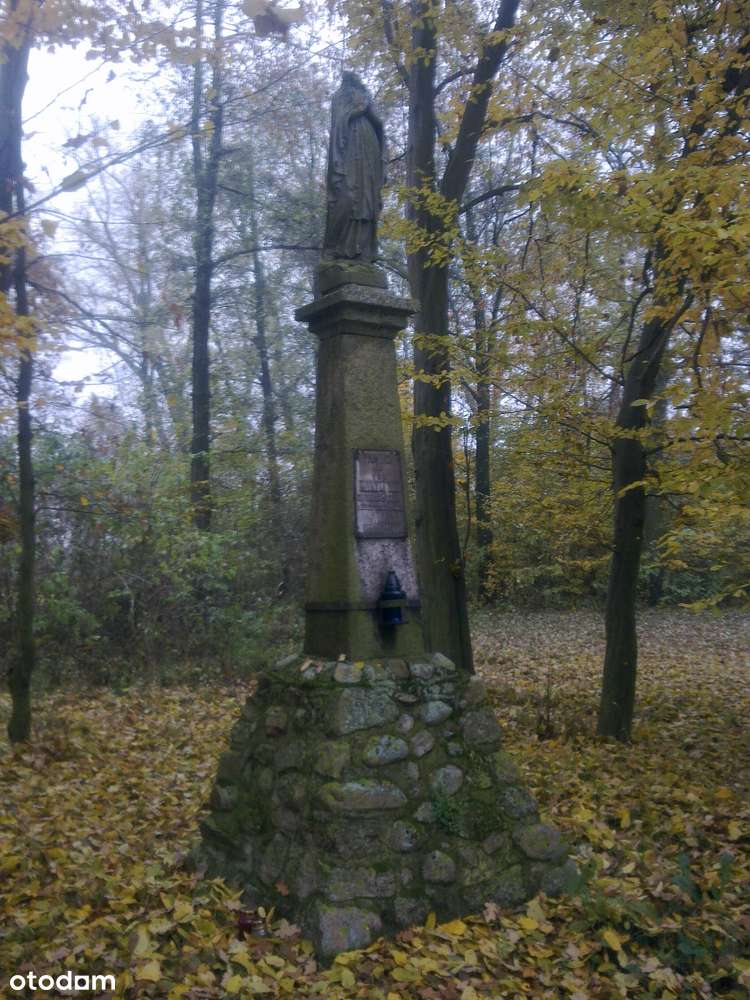 ZabytkowyParkPodworski -staw,starodrzew -gm.Somianka-55 km do Warszawy - Pełny obrazek: 5/10