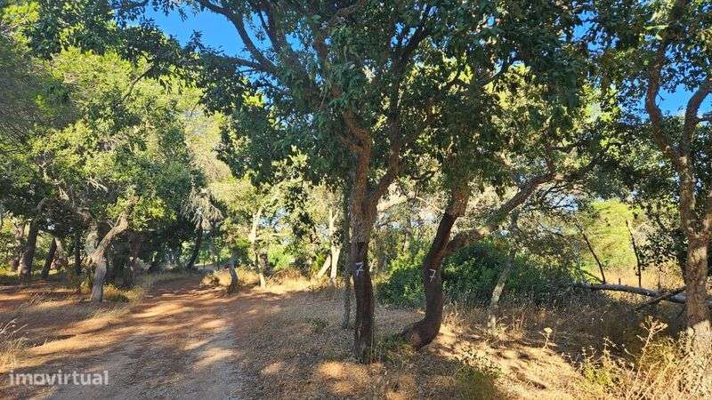 Terreno Rústico a 1 Km do Zoo e a 10 min de Lagos - Grande imagem: 4/10