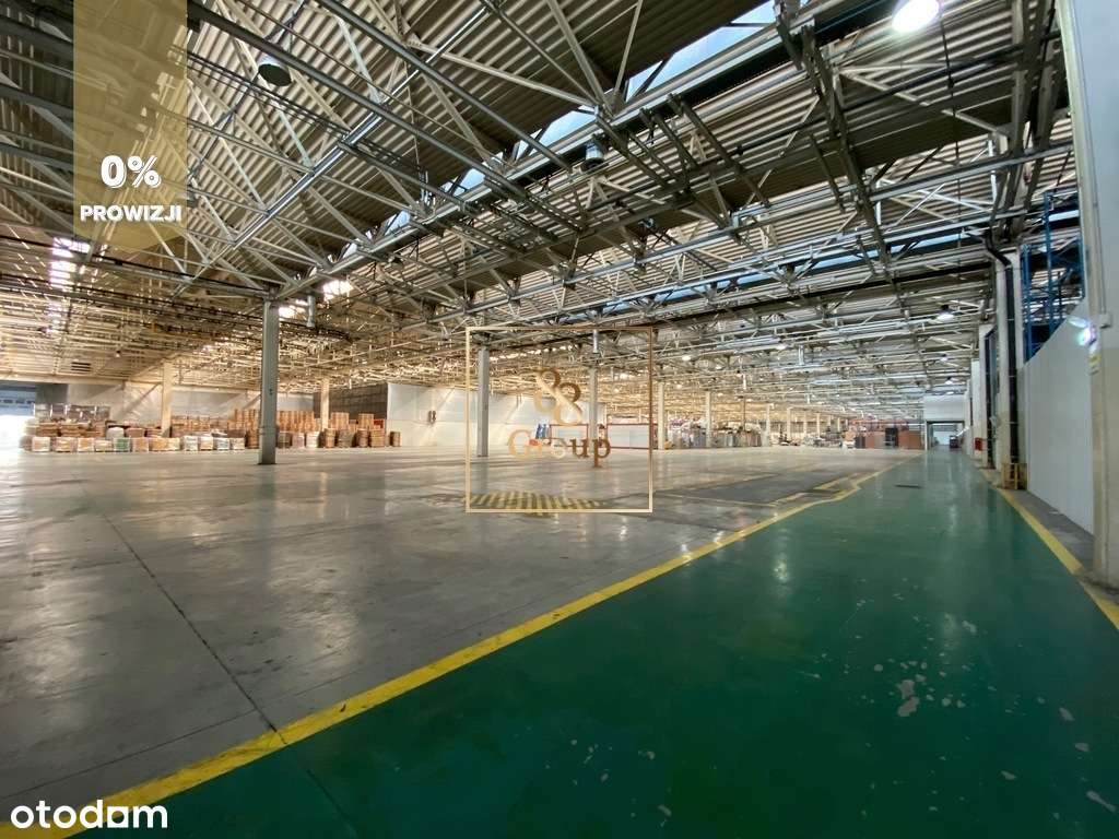 Do wynajęcia magazyn 980m2 Warszawa Praga-Północ - Pełny obrazek: 2/7