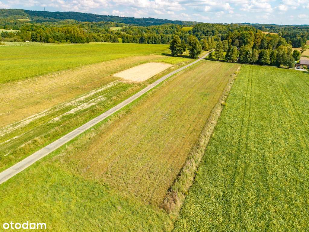 działki budowlane Korczyna-7