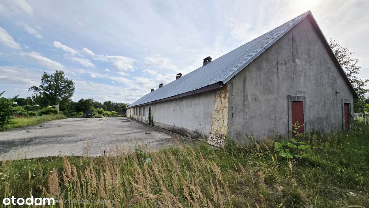 Budynek z dużą działką - Pełny obrazek: 4/10