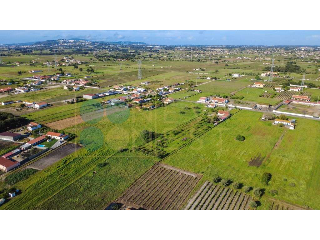 Construa duas casas num terreno único de 12.900m² em Arraiados-15