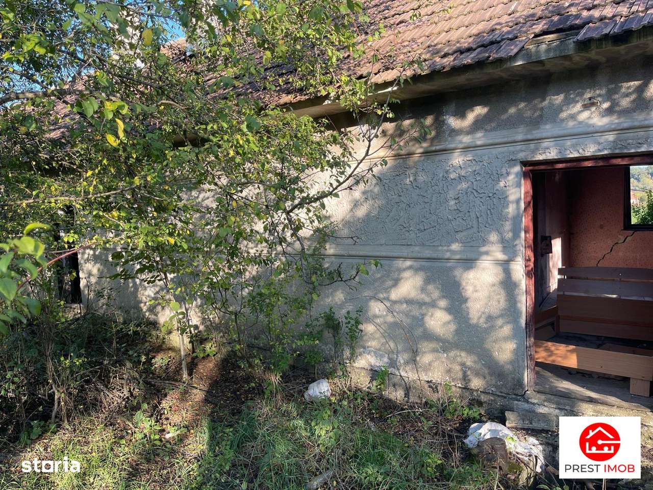 Conac in paragina - Imagine principală: 5/11