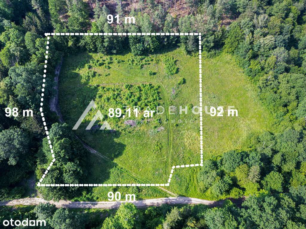 Działki z pozwoleniem na budowę w sercu natury!-1