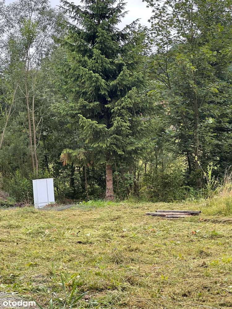 Duża działak budowlana w Rzeczce - Pełny obrazek: 5/9