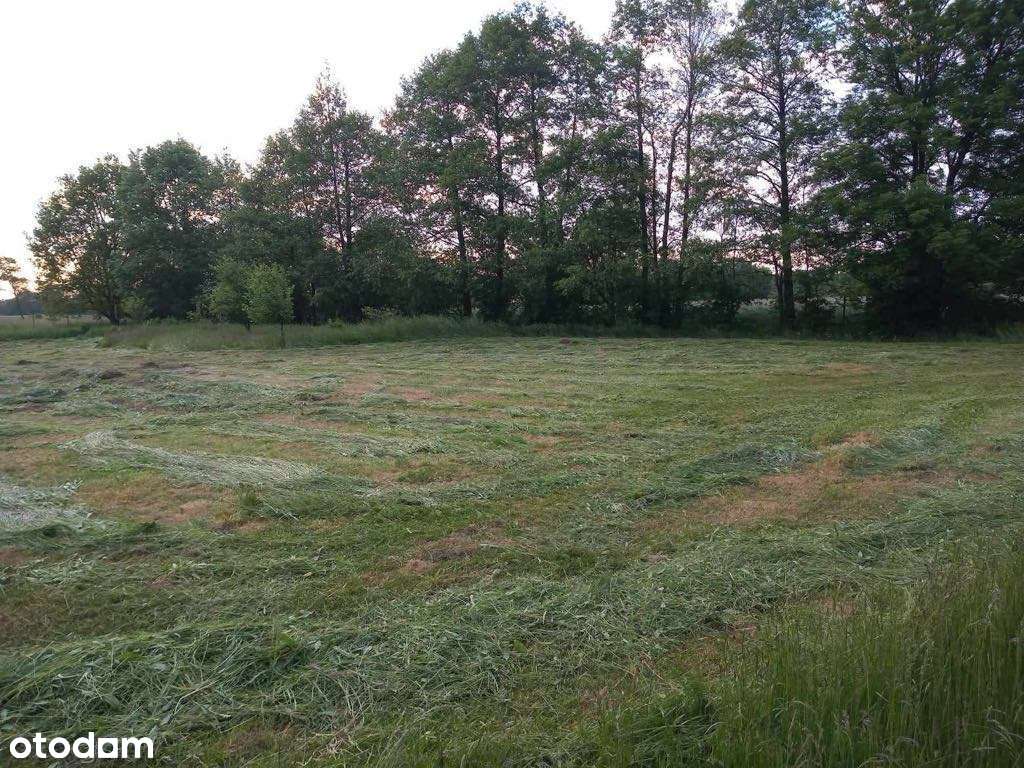 Duża działka deweloperska z analizą chłonności + koncepcją arch. - Pełny obrazek: 5/8