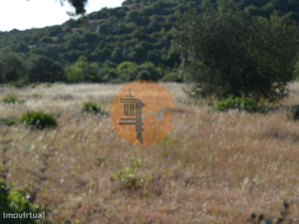 Terreno Rústico Marco Santa Catarina da Fonte do Bispo - Grande imagem: 3/9