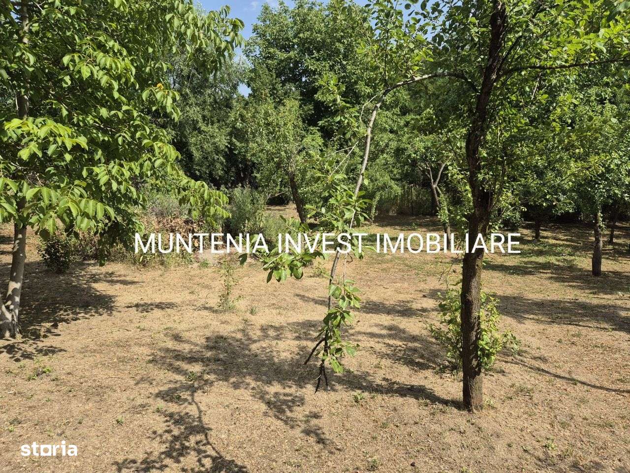 Teren 1188 mp.( intravilan), Stefanesti - Imagine principală: 4/9