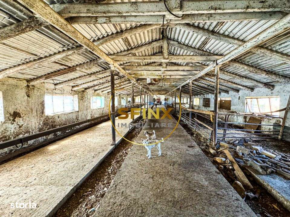 Teren intravilan cu potential de investitie 62000mp - Imagine principală: 4/15