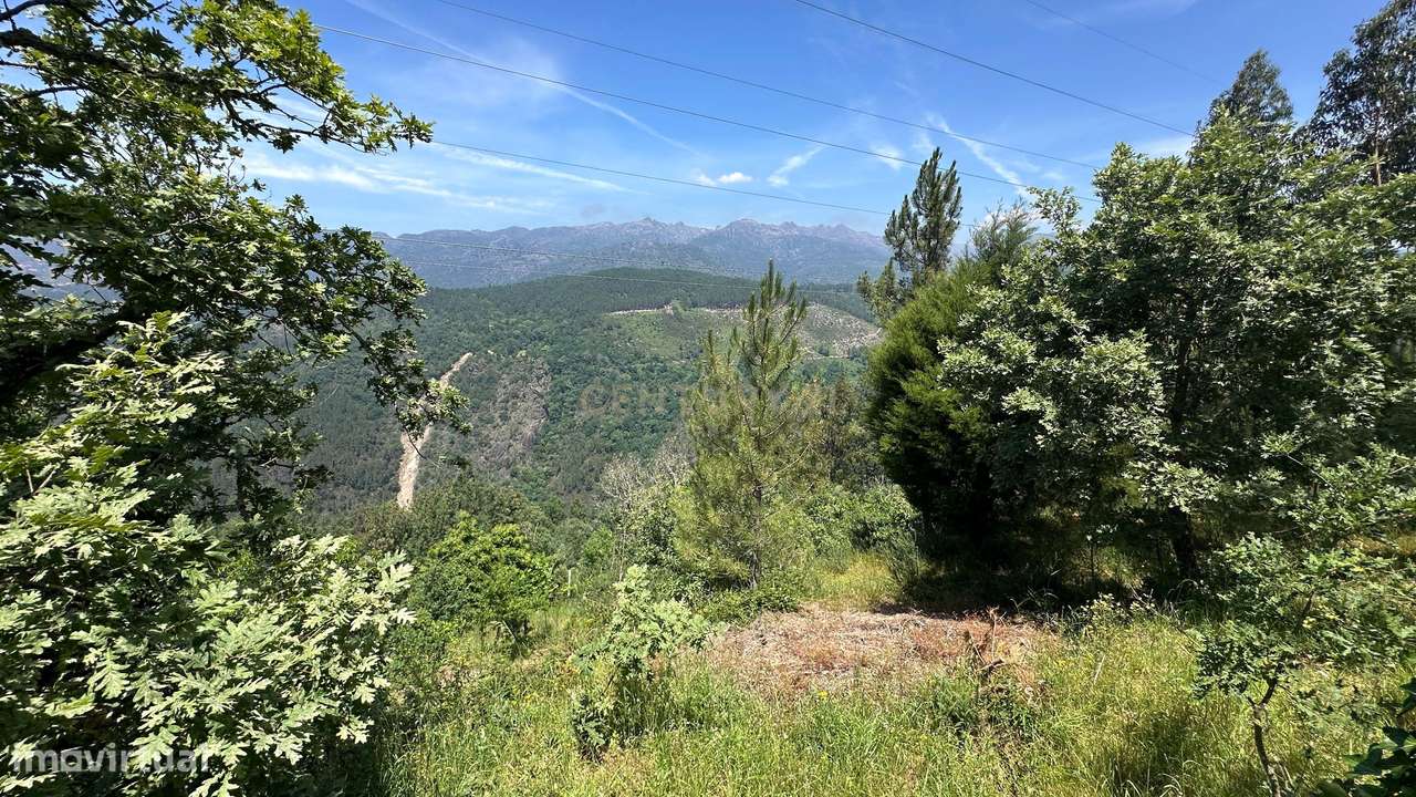 O Refúgio Perfeito no Topo do Gerês: Onde o Silêncio Encontra a Imens-16