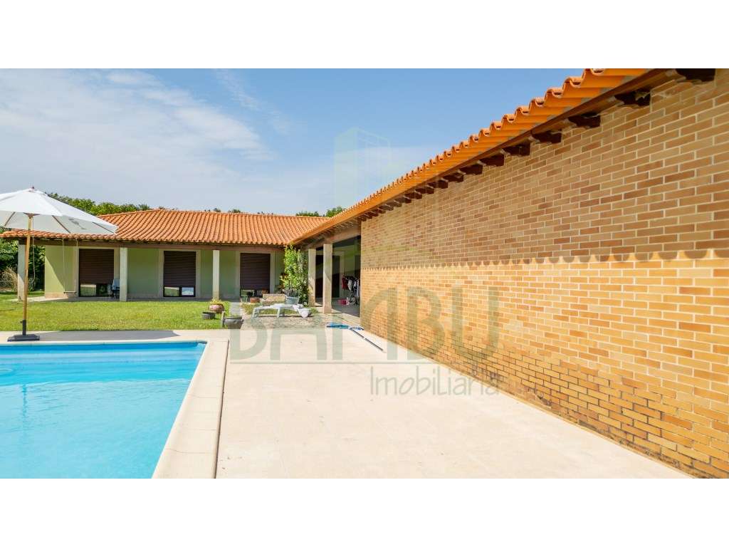 Moradia T4 térrea, com piscina, inserida em terreno com 1.718m2 - Grande imagem: 4/24