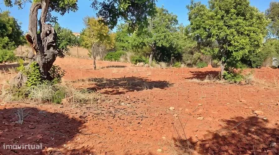Terreno rústico plano com 4240 m2 no Algarve-2
