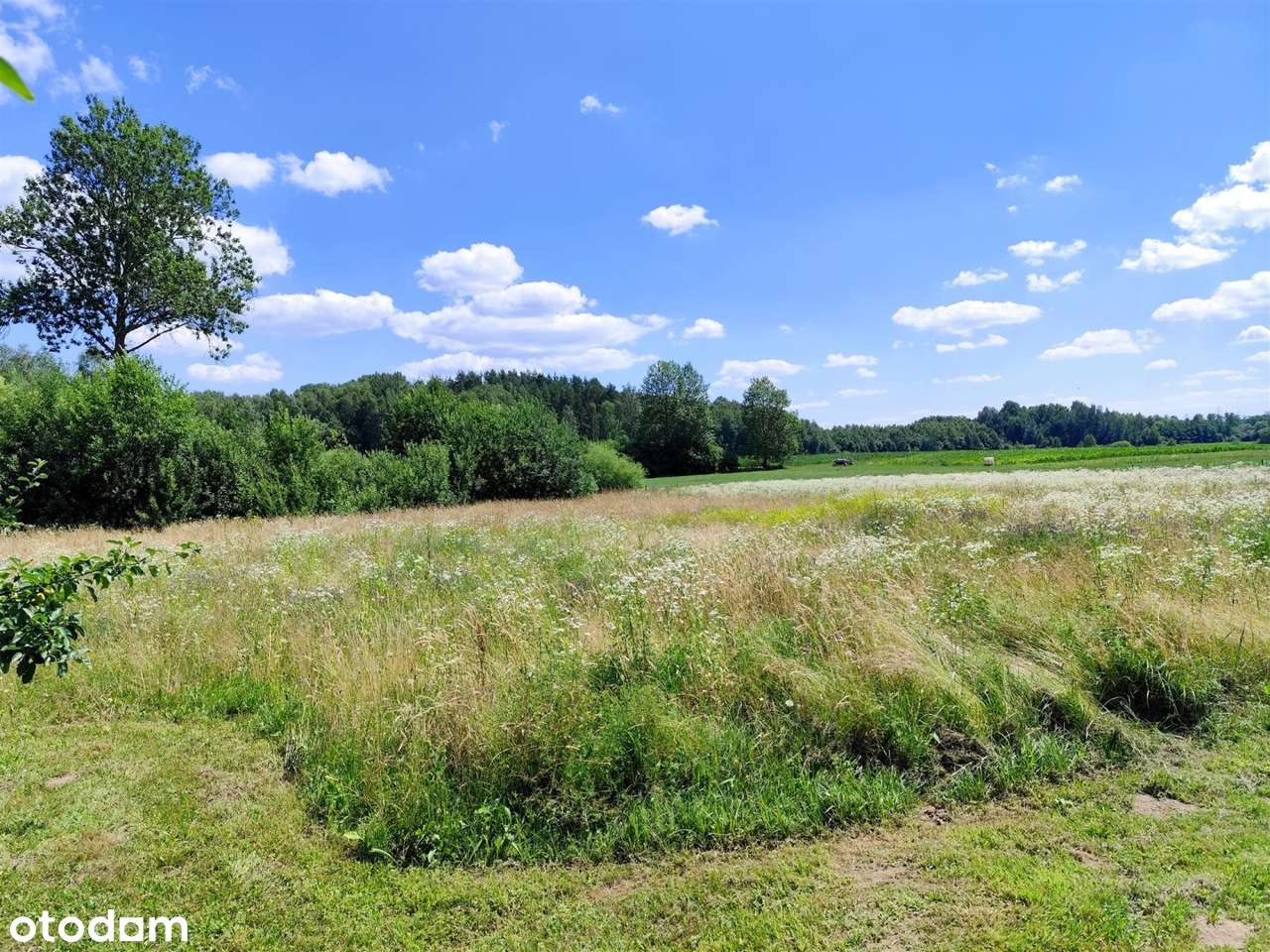 Sliczne działki 3000/5000m2 10km do Białegostoku-1