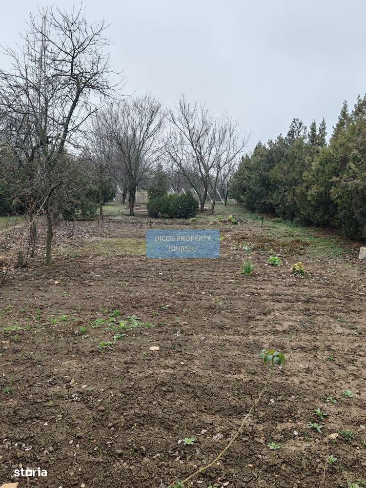 Teren 2.600 mp, utilități, Str. Merișor – Giurgiu-3