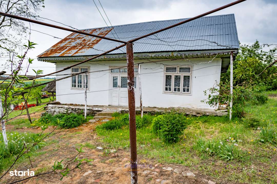 Casa din chirpici, bucatarie de vara si 1.34 ha de teren, Ardeoani-10