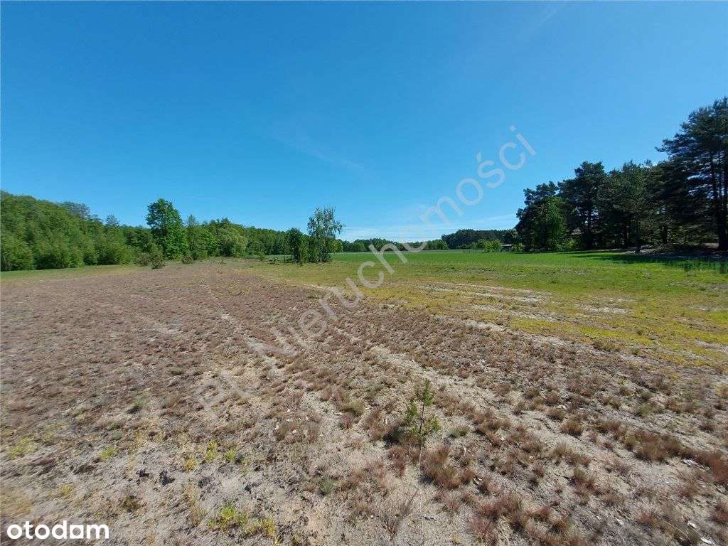 Dogodne Wymiary, Media, Magiczny Widok.-7