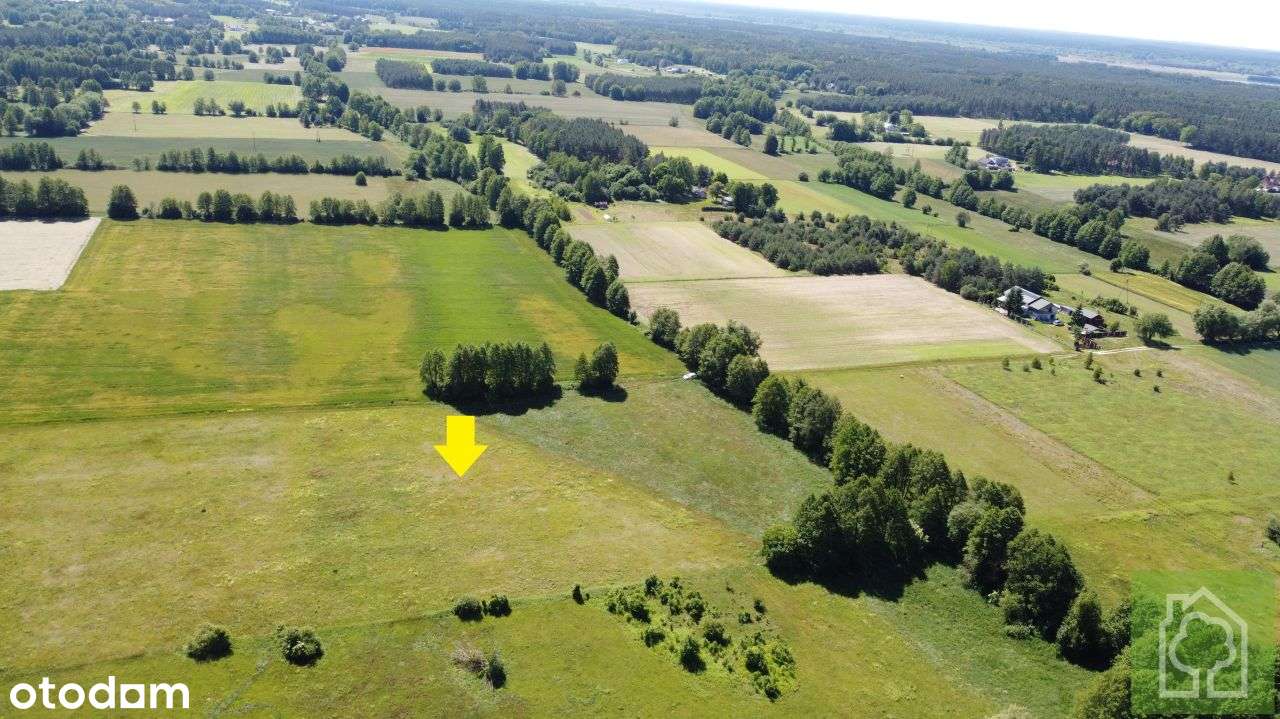 Działka, 3 001 m², Gutowo - Pełny obrazek: 3/7