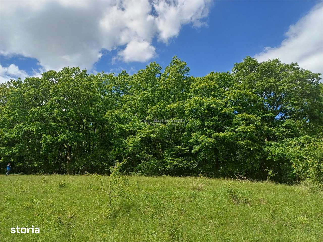 Loturi de teren de vanzare la Tocile cu vedere la lac - Imagine principală: 1/7